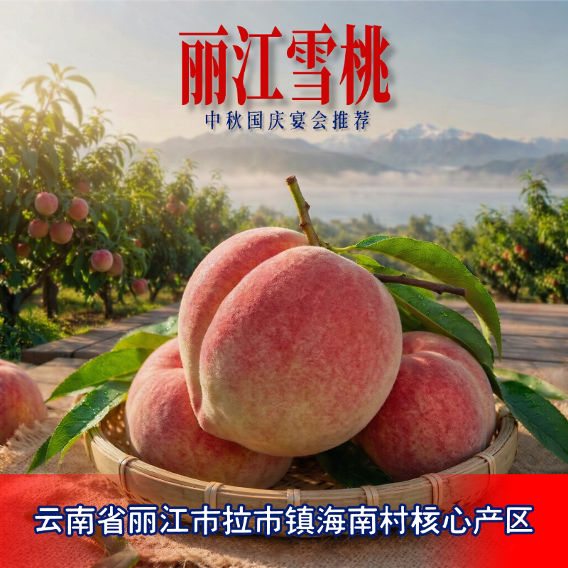 云南丽江雪桃【6颗装礼盒】产地直发鲜脆甜中秋国庆送礼超大果