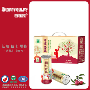 山西特产河曲海红蜜食品自在吨原味海红果汁饮料310ml*12罐