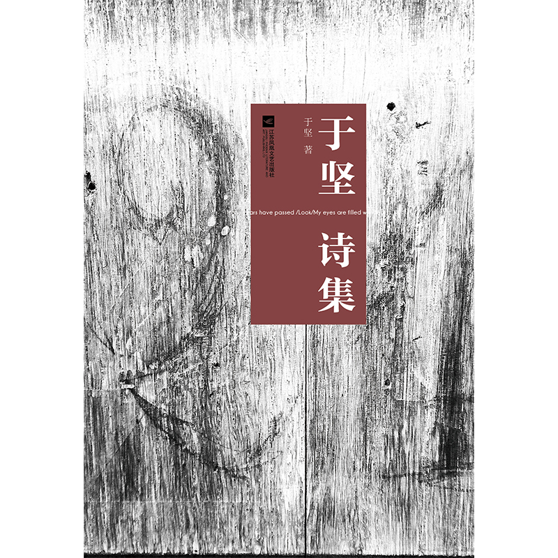 【凤凰正版】于坚诗集 当代汉语诗歌绕不过去的名字 诗歌精选集中国现当代散文集现代青春文学经典畅销书籍正版包邮