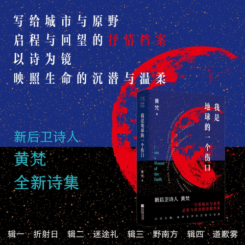 我是地球的一个伤口 黄梵 著  诗集