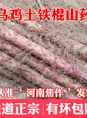 温县乌鸡土新鲜红皮铁棍山药焦作怀山正宗河南省铁杆淮山 特产5斤