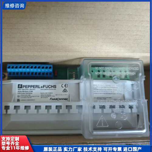 倍加福现场总线隔离器RD0-FB-EX4.COM，型号204