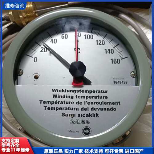 【找客服能打折】德国MESSKO绕组温度计MT-ST160W/2/7m