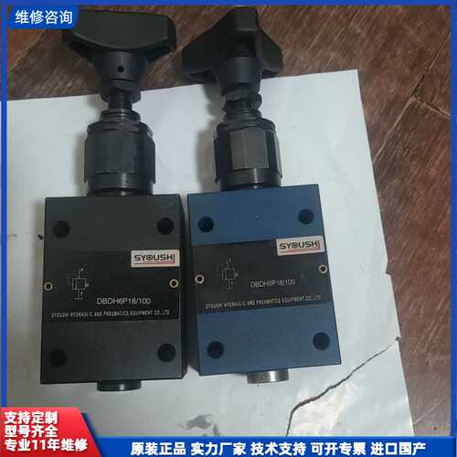 SYOUSHI液压阀，型号DBDH6P18/100，原装正品