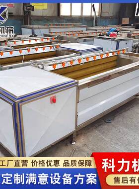 1000型毛辊清洗机 土豆去皮机 生姜脱皮机 九根毛辊刷机器