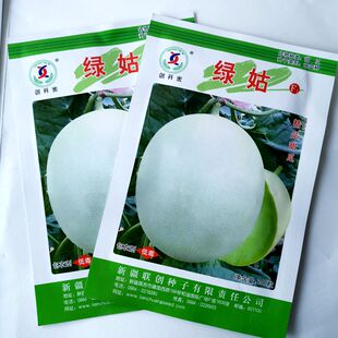 新绿姑甜瓜种籽孑玉菇香瓜白皮绿肉哈密瓜种子四季播超甜细嫩无渣