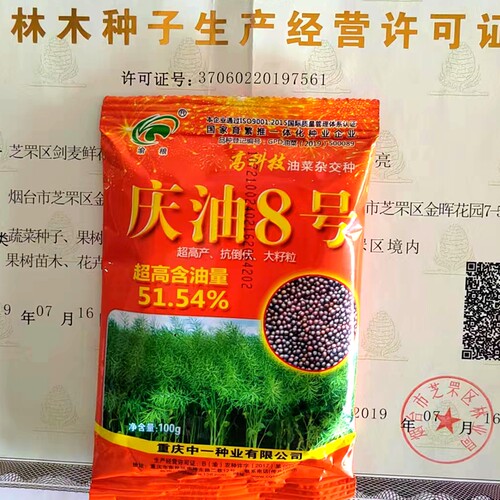 中油杂19油菜种籽大全庆油8号