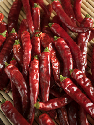 重庆火锅石柱红5号辣椒种子3号籽