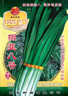 平韭六号韭菜种子八号棚韭王种籽四季种植不休眠R 河南韭菜种苗孑