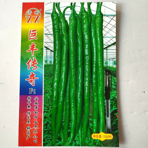 萧新巨丰传奇线椒种苗籽精选长果