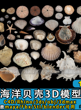 海洋贝壳 3D模型C4D/Rhino/FBX/OBJ/3dmax/3ds/STL /blender模型