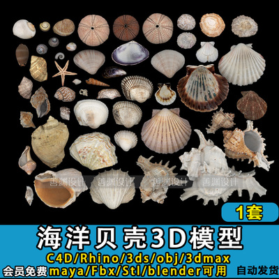 海洋贝壳 3D模型C4D/Rhino/FBX/OBJ/3dmax/3ds/STL /blender模型