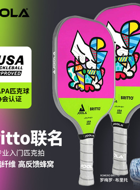 JOOLA匹克球拍儿童拍学生初学入门波普艺术Britto联名pickleball