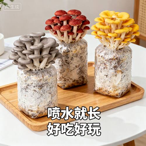 蘑菇菌包小学生玩具批种植盒奖励植物奖品儿童多肉幼儿园礼物礼品