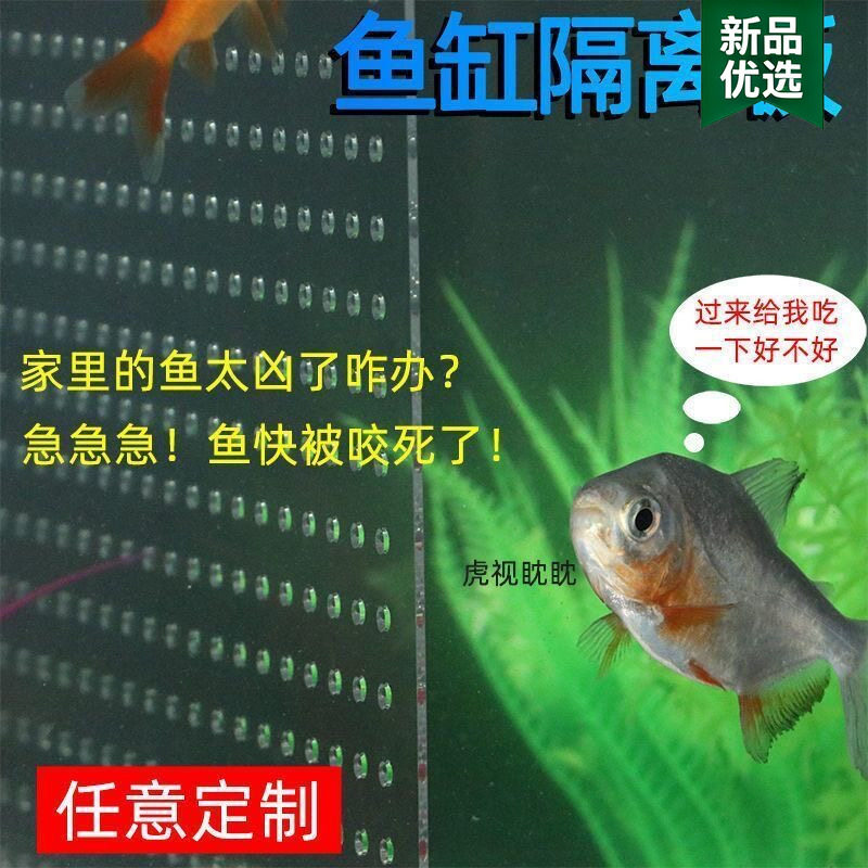 鱼缸隔离板 分隔网内置亚克力专用黑色乌龟隔离玻璃板水分离挡板