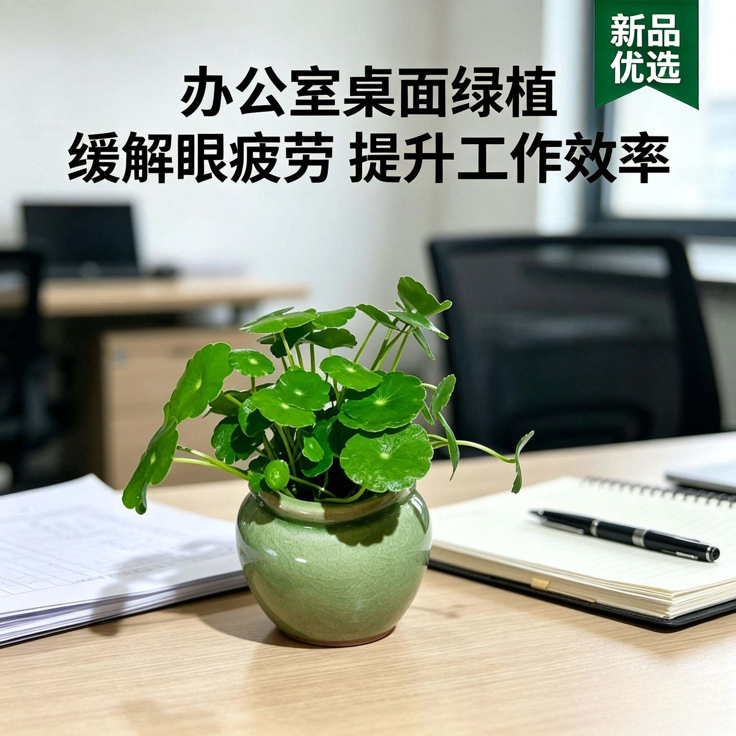 桌面小型水培植物水培铜钱草桌面迷你小盆栽室内好养绿植
