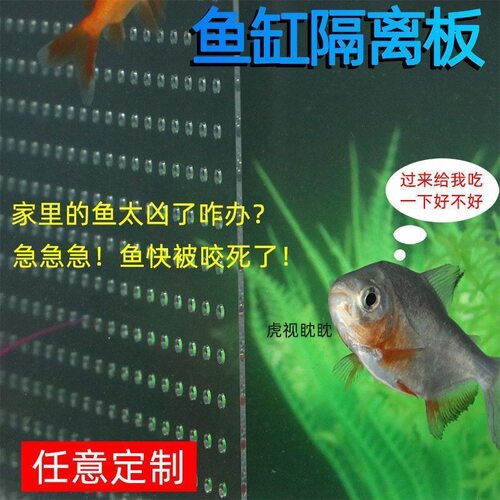 鱼缸隔离板 分隔网内置亚克力专用黑色乌龟隔离玻璃板水分离挡板