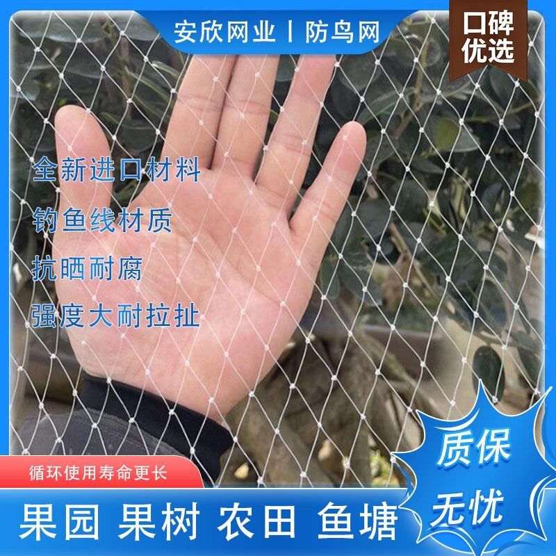 防鸟神器果树园网罩大棚尼龙线