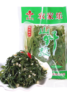 陕北特产野生苦菜榆林山野菜 天然绿色健康营养好吃保鲜凉拌专用