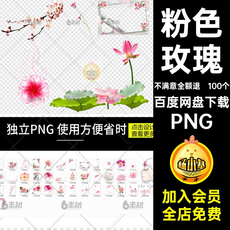 100个浪漫玫瑰ps七夕情人节粉色花免扣素材鲜花朵PNG花瓣png手绘