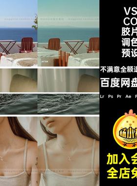 10款VSCO胶片预设合集Prps调色日系滤镜人像富士婚礼写真Lr达芬奇