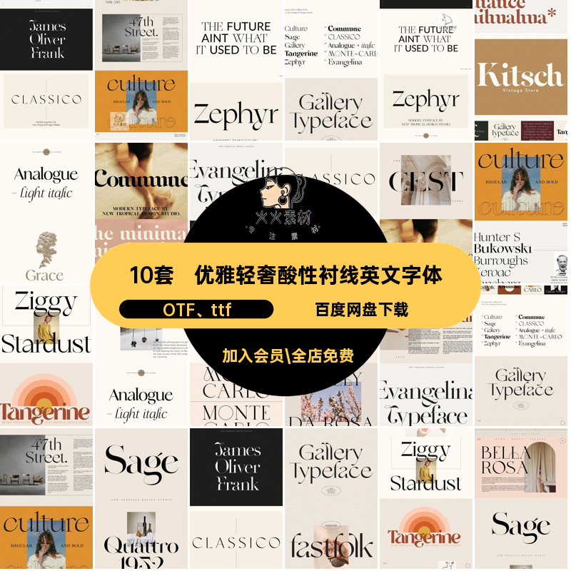 杂志衬线英文字体LOGO海报包标题酸性轻10套OTF ttf优雅奢北欧