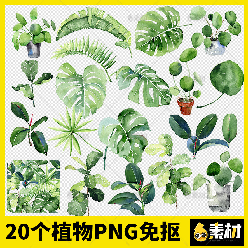 树叶绿植物盆栽水彩手绘森系夏季装饰叶子ps免扣png免抠图片素材