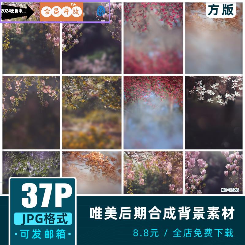 唯美梦幻儿童室外人像照片虚化背景油画风后期修图合成素材jpg