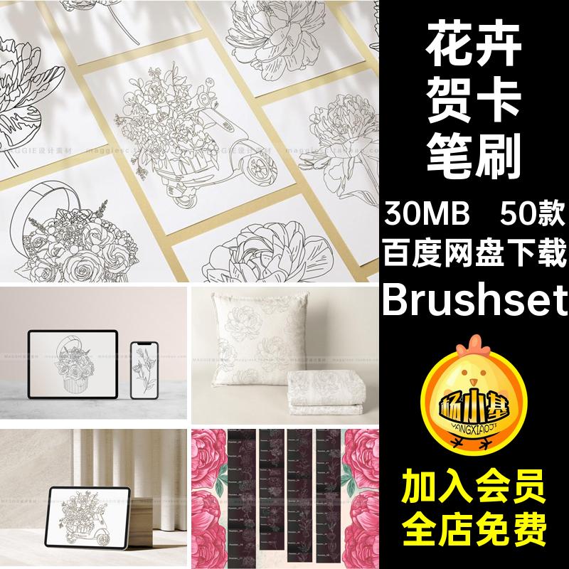 牡丹线稿笔刷合集画笔印花花朵Procreate辅助线Brushset花卉国花