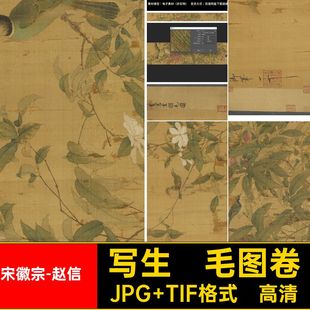 写生翎毛图卷JPG TIF格式·高清图片电子印刷宋徽宗-赵信·国画