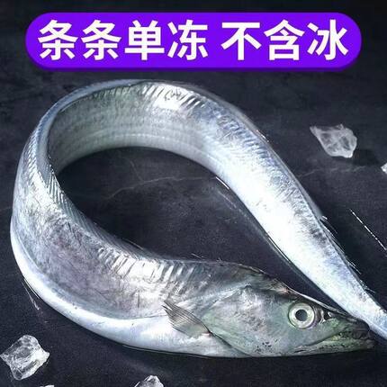 大号整条带鱼冷冻海鲜小黑眼带鱼刀鱼净重5斤无冰衣
