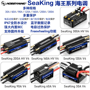 好盈SEAKING海王 V4 电调30A 60A 90A 160A 船用水冷双向无刷电调