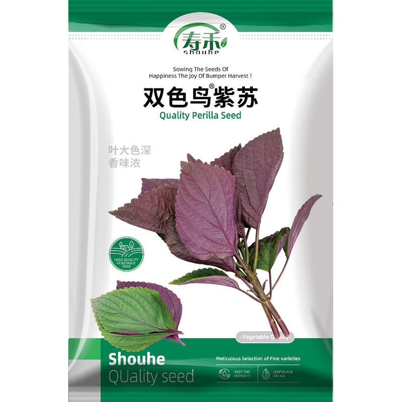 紫苏种子双色鸟紫苏种籽紫苏子苗盆栽可食用苏子叶蔬菜种苏子叶