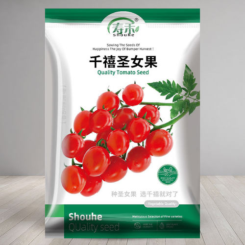 千禧圣女果种子小番茄四季