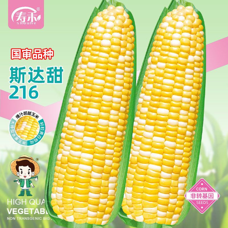 斯达甜216早熟超甜水果玉米种子高产甜玉米种籽孑四季大全春季,鲜花速递/花卉仿真/绿植园艺,家庭园艺种子,淘宝优惠券,粉丝福利购,淘宝优惠卷