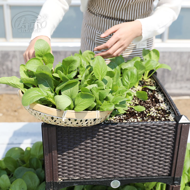 房顶蔬菜种植箱家庭阳台楼顶户外专用种菜神器顶楼屋顶室内省空间
