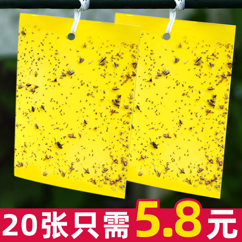 黄色粘虫板双面强力黄板菜地果实蝇家用菜园蔬菜蓝板大棚黏虫板