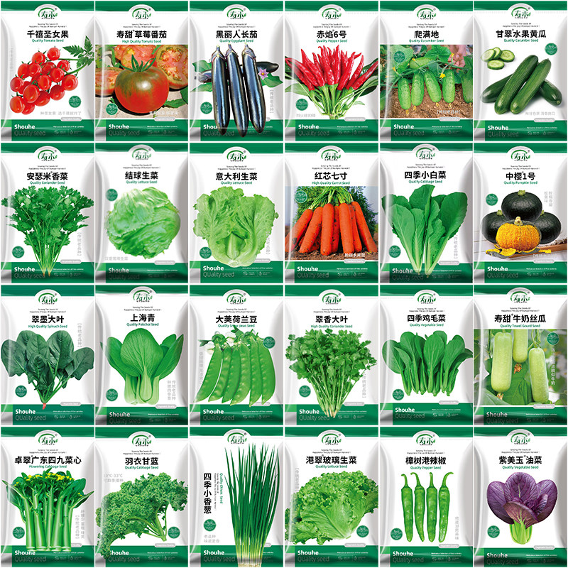 适合南方种的蔬菜种子大全四季生菜香菜菠菜3月份山东寿光籽种三,鲜花速递/花卉仿真/绿植园艺,家庭园艺种子,淘宝优惠券,粉丝福利购,淘宝优惠卷