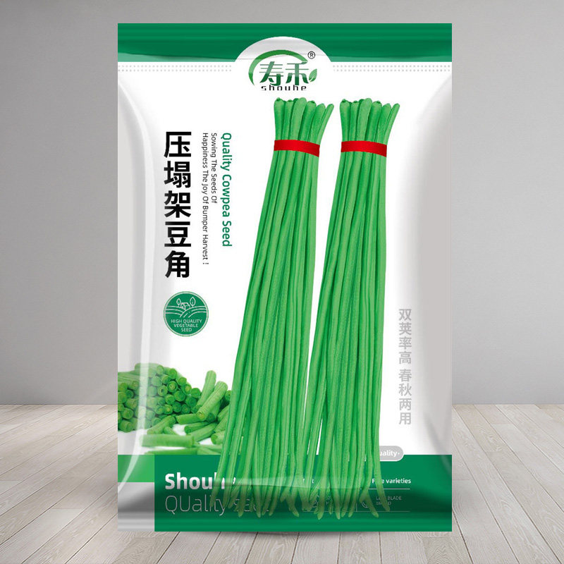 种子高产四季豆秧苗大全图片