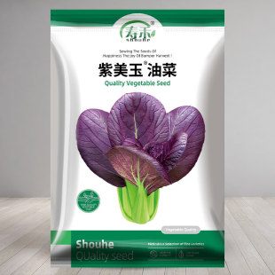 紫油菜种子紫小白菜种籽红油菜籽种青梗菜疏种籽四季 孑紫罗兰 冬季