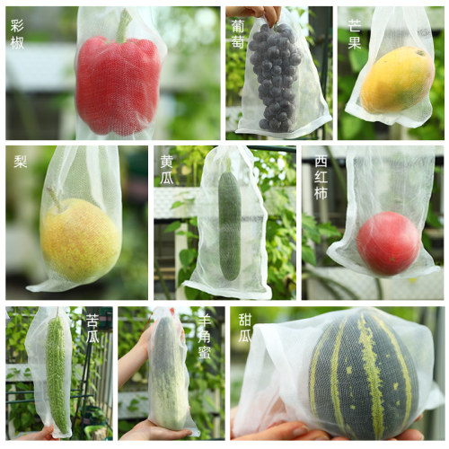 草莓防果蝇葡萄瓜类套袋专用