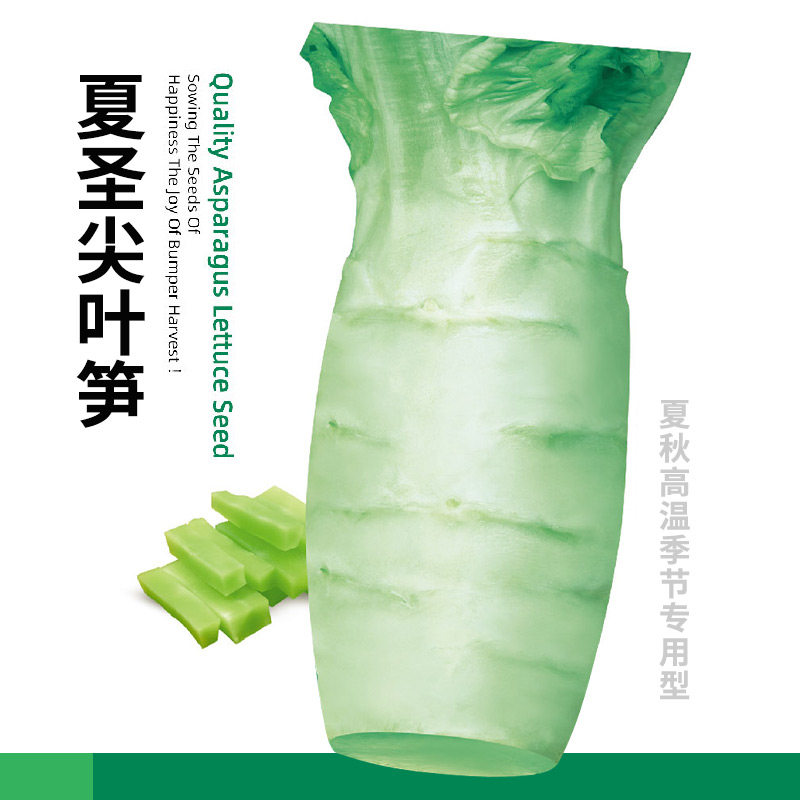 四季莴笋种子青皮绿肉香窝笋莴苣孑高产耐热耐寒春秋播种种籽