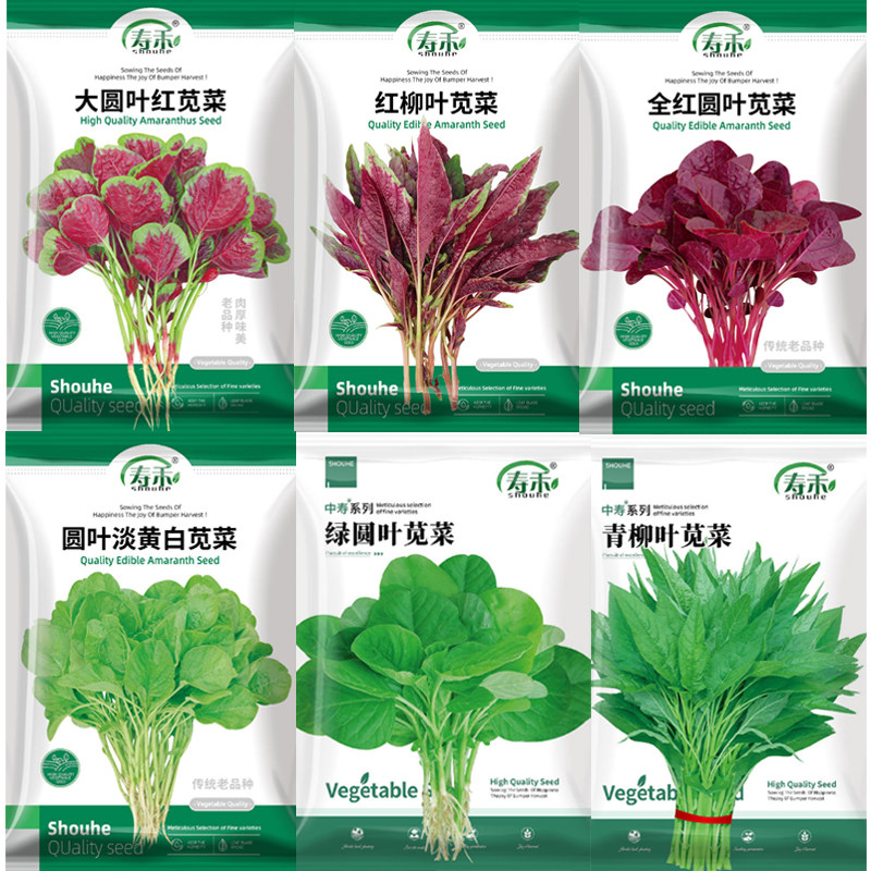汉菜红圆叶苋菜种子红叶秋天种的菜种黄籽种四季孑秋季种籽菜籽白