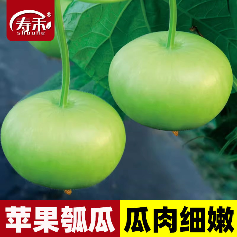 利农瓠瓜种籽葫芦小瓠子图片