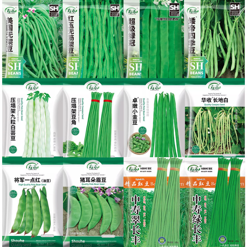 高产摘不败白芸豆种子豆角扁豆蔬菜子四季豆种籽老来少豆种自不老
