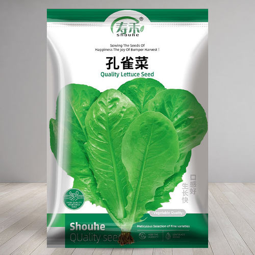 孔雀菜种子沙拉生菜四季