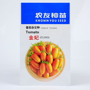 台湾农友金妃小番茄种子耐寒樱桃迷你西红柿种籽四季圣女果孑