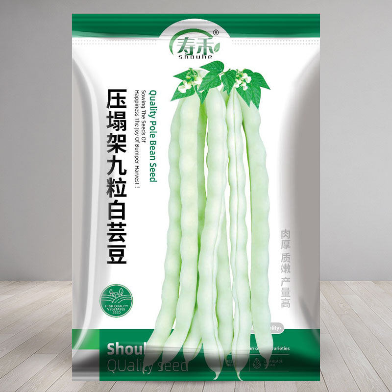 九粒白芸豆高产四季豆种子图片