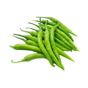 杭椒种子种籽辣椒苗盆栽菜苗朝天椒批发四季孑秧苗蔬菜幼苗秧海椒