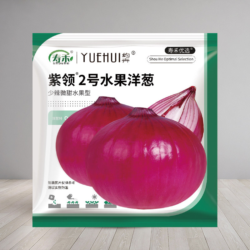 红皮洋葱种子种籽孑子苗洋葱头种植四季苗子葱苗圆葱秧苗蔬菜葱种